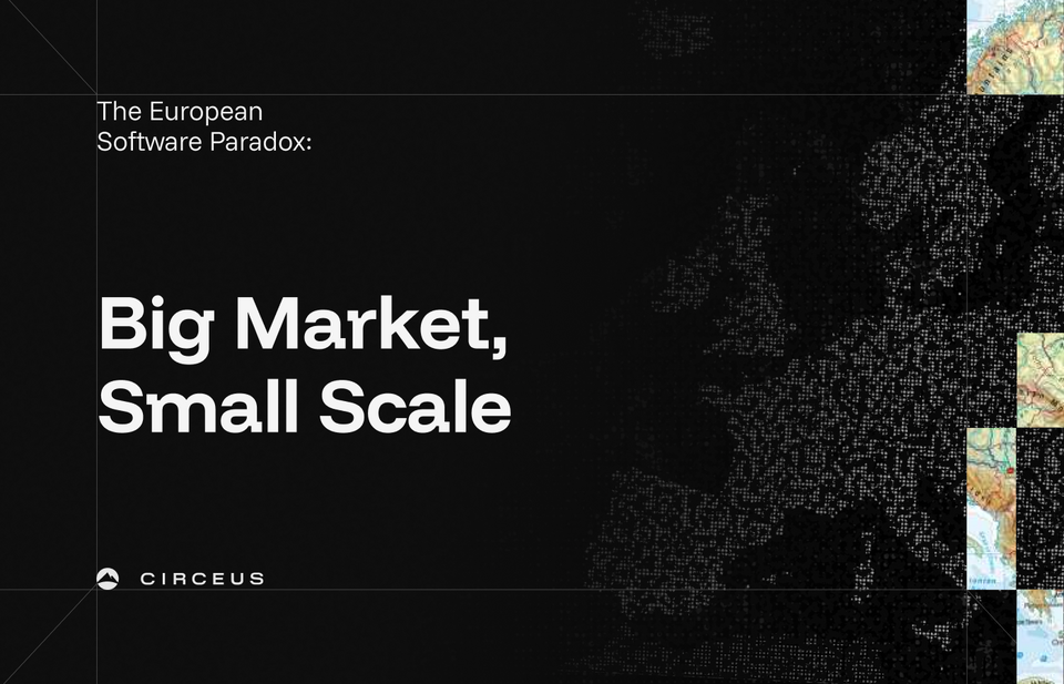 The European Software Paradox: Big Market, Small Scale